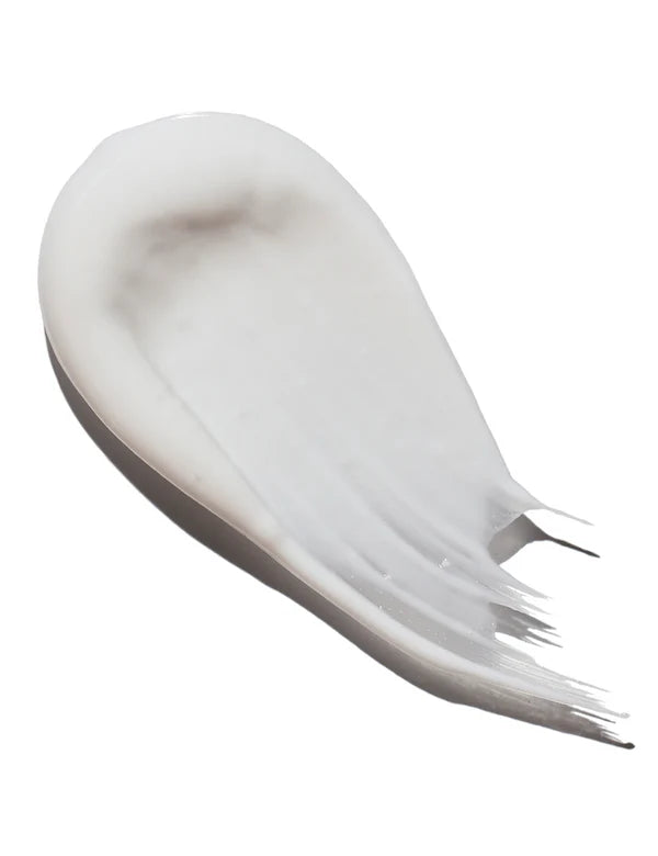 Davids Premium Toothpaste (Spearmint / 5.25 oz)