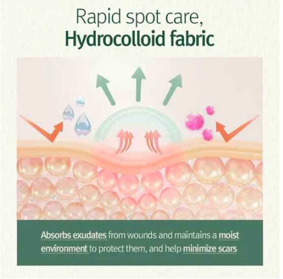 Pyunkang Yul Clear Spot Patch