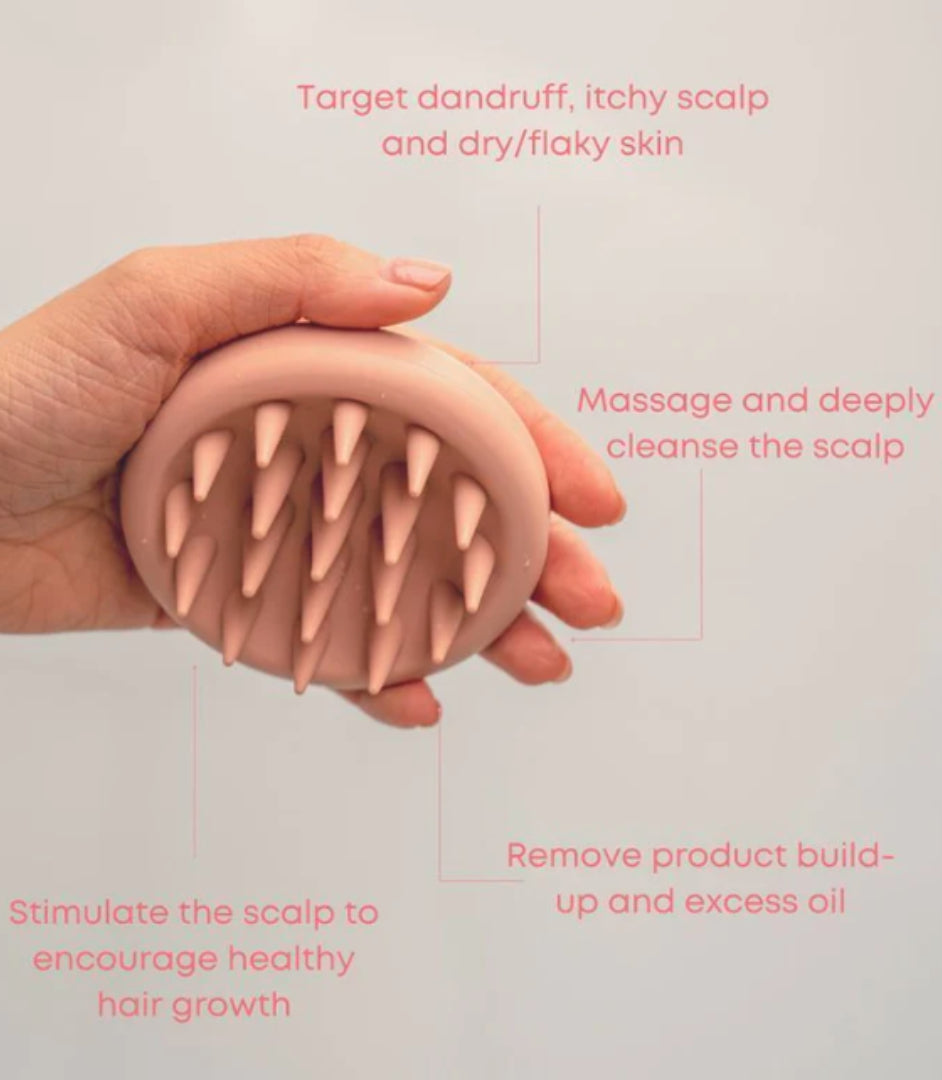 Dreambox Beauty Scalp Scrubber (Exfoliator & Massage Brush)