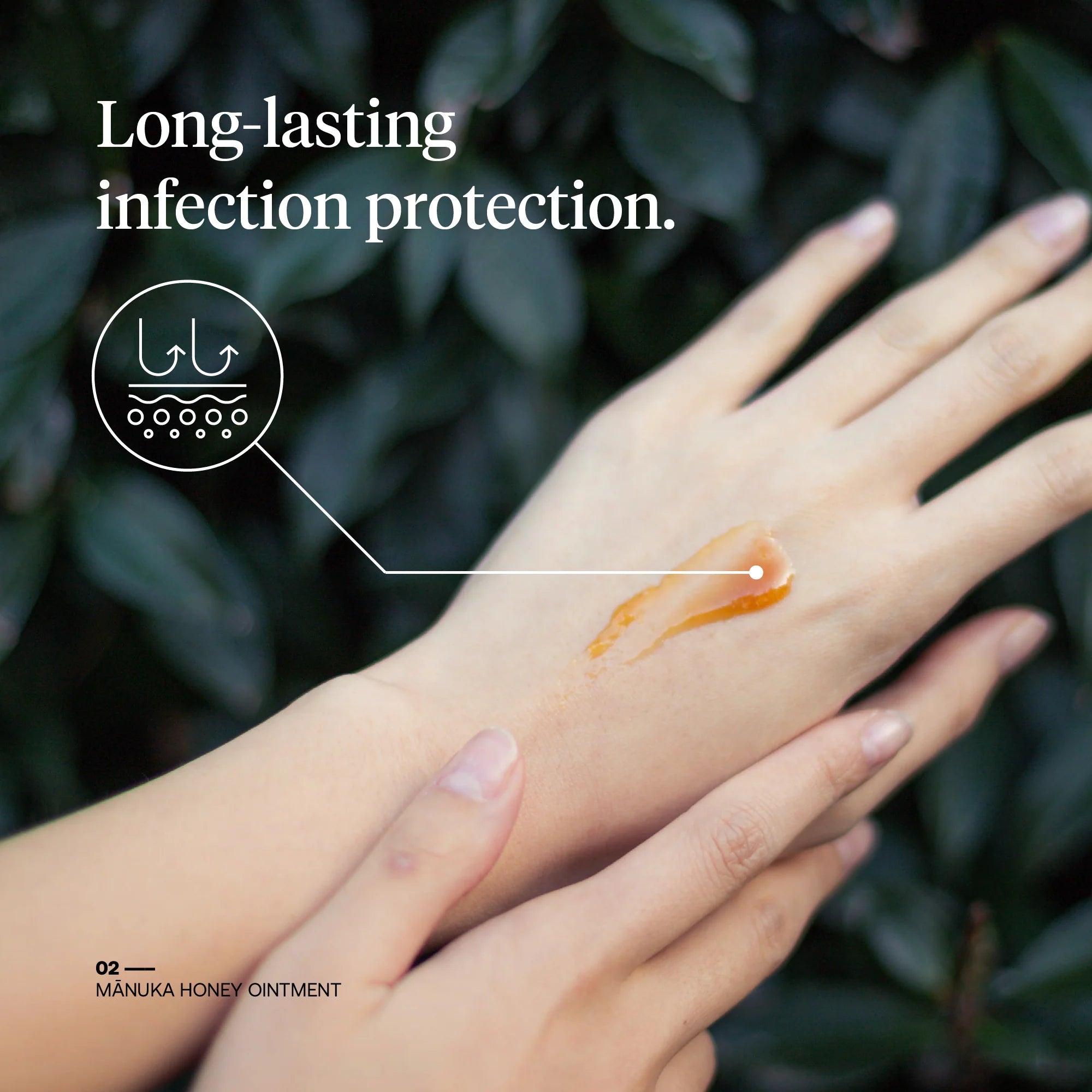 First Honey Manuka Honey Ointment 1oz