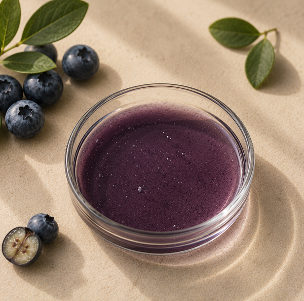 Blueberry Extract