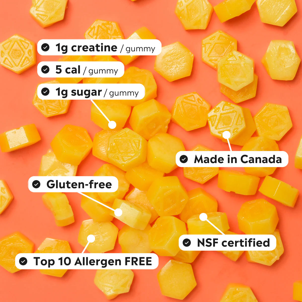 GUM'Vees Creamy Mango Creatine Monohydrate Gummies (Individual Pack)