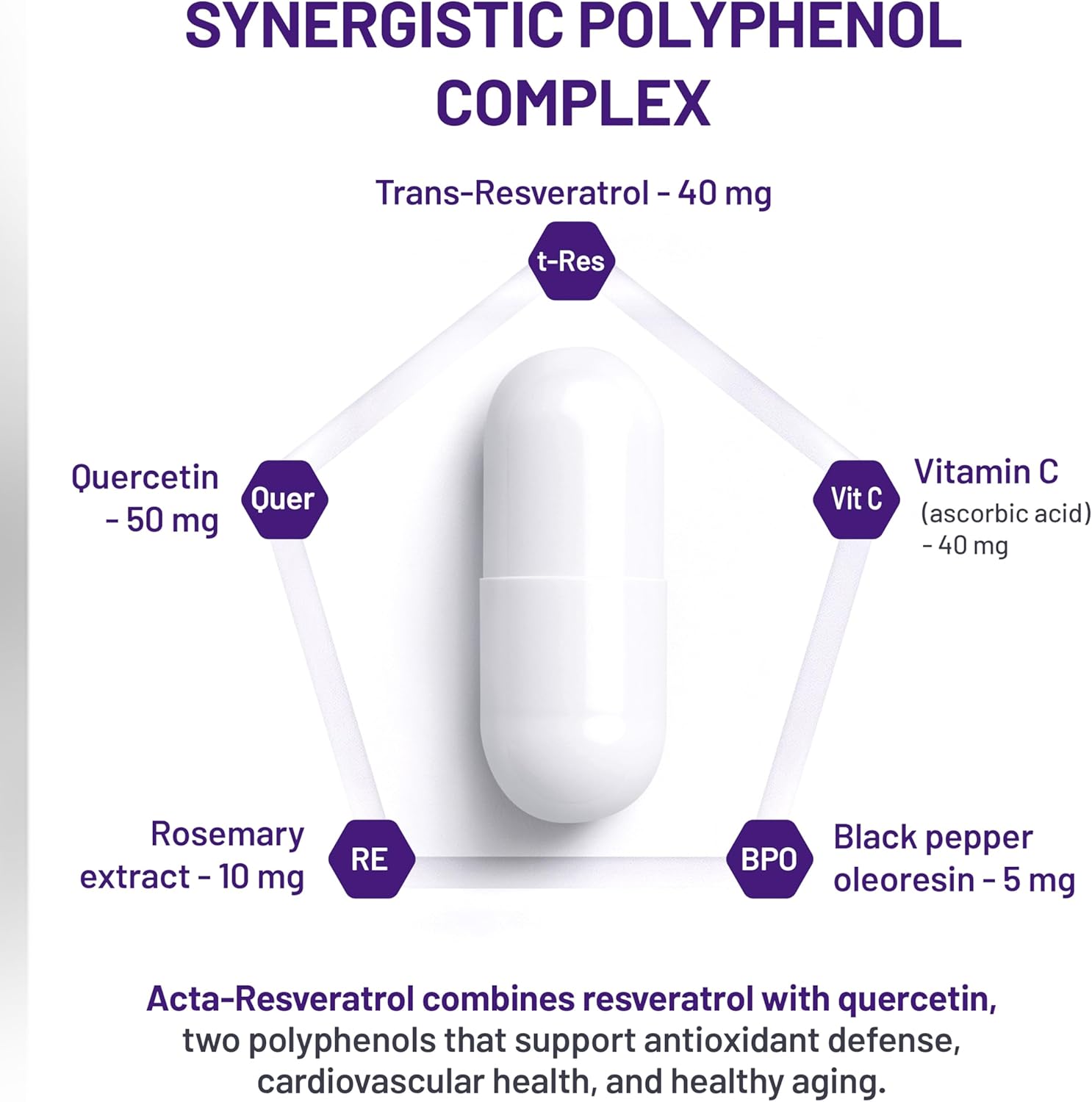 Diagram of a Synergistic Polyphenol Complex with ingredients and their quantities on a white background.