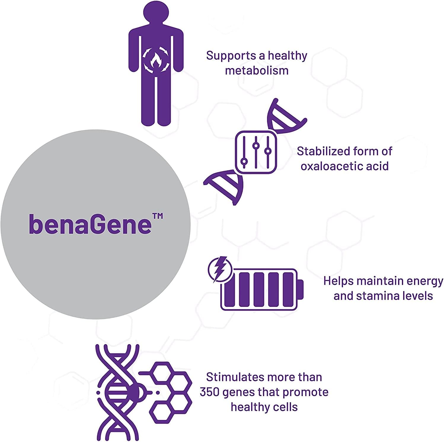 Diagram of benaGene's benefits including metabolism, energy, and gene stimulation on a white background.