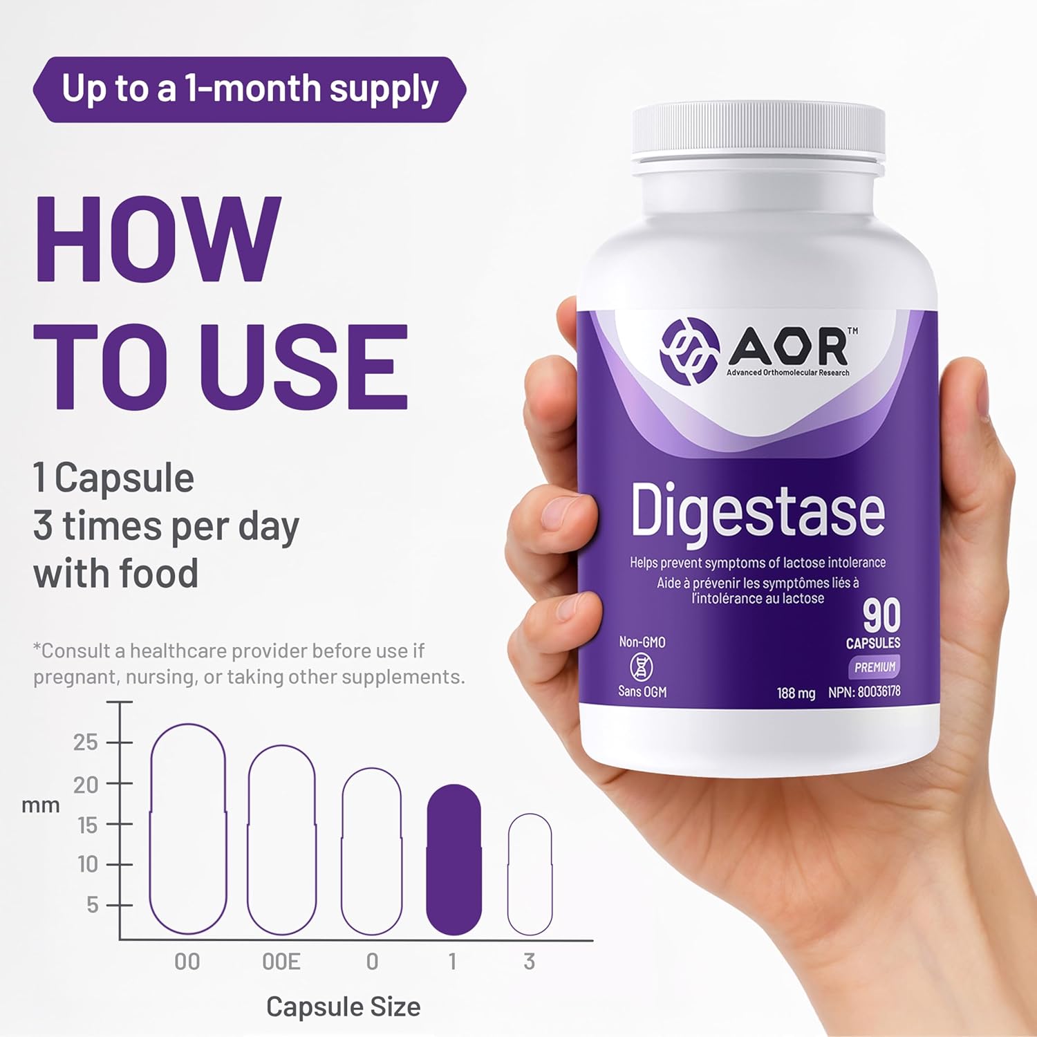 AOR Digestase supplement bottle held in a hand with usage instructions on a white background