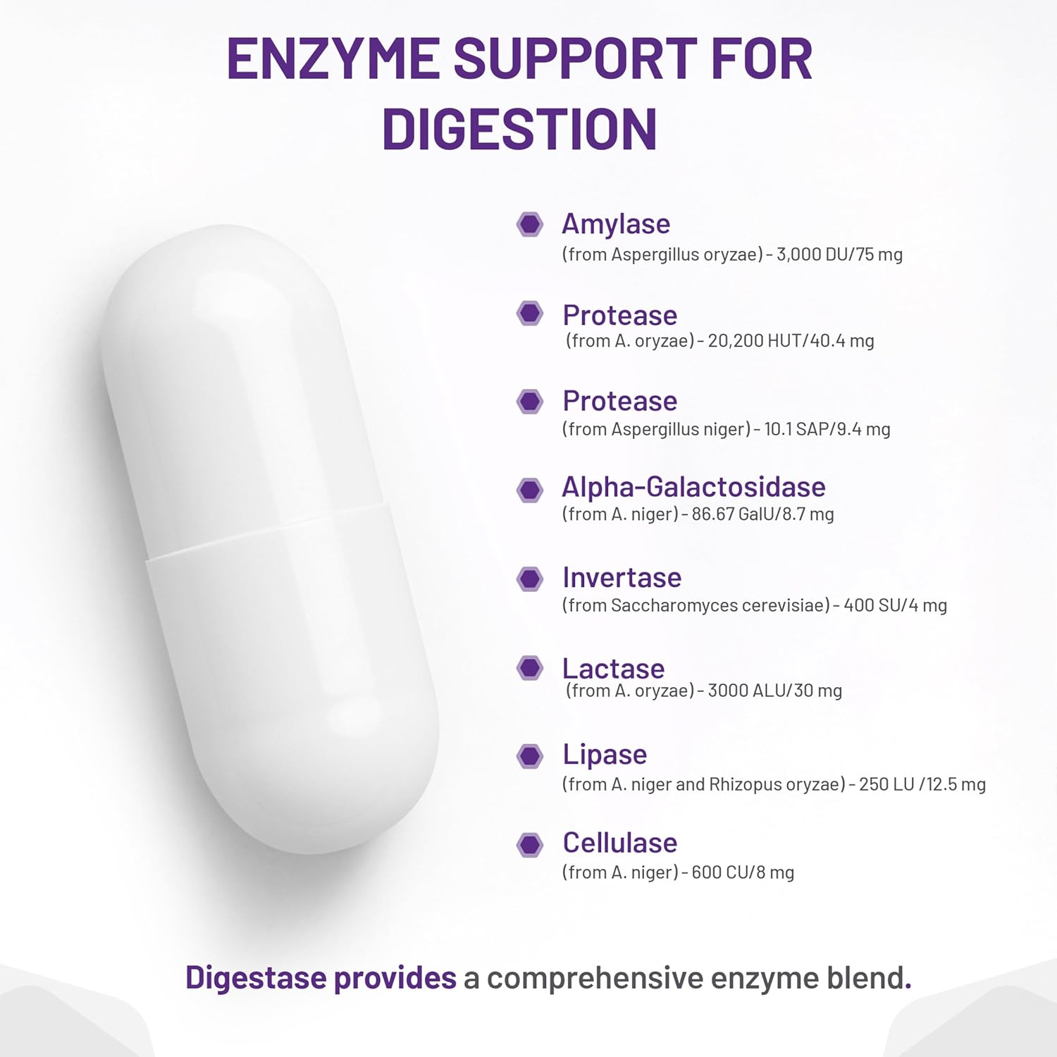White capsule with enzyme support for digestion information on a white background
