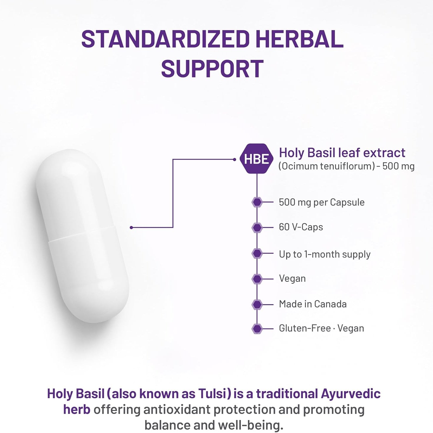 White capsule with text detailing Holy Basil leaf extract on a white background