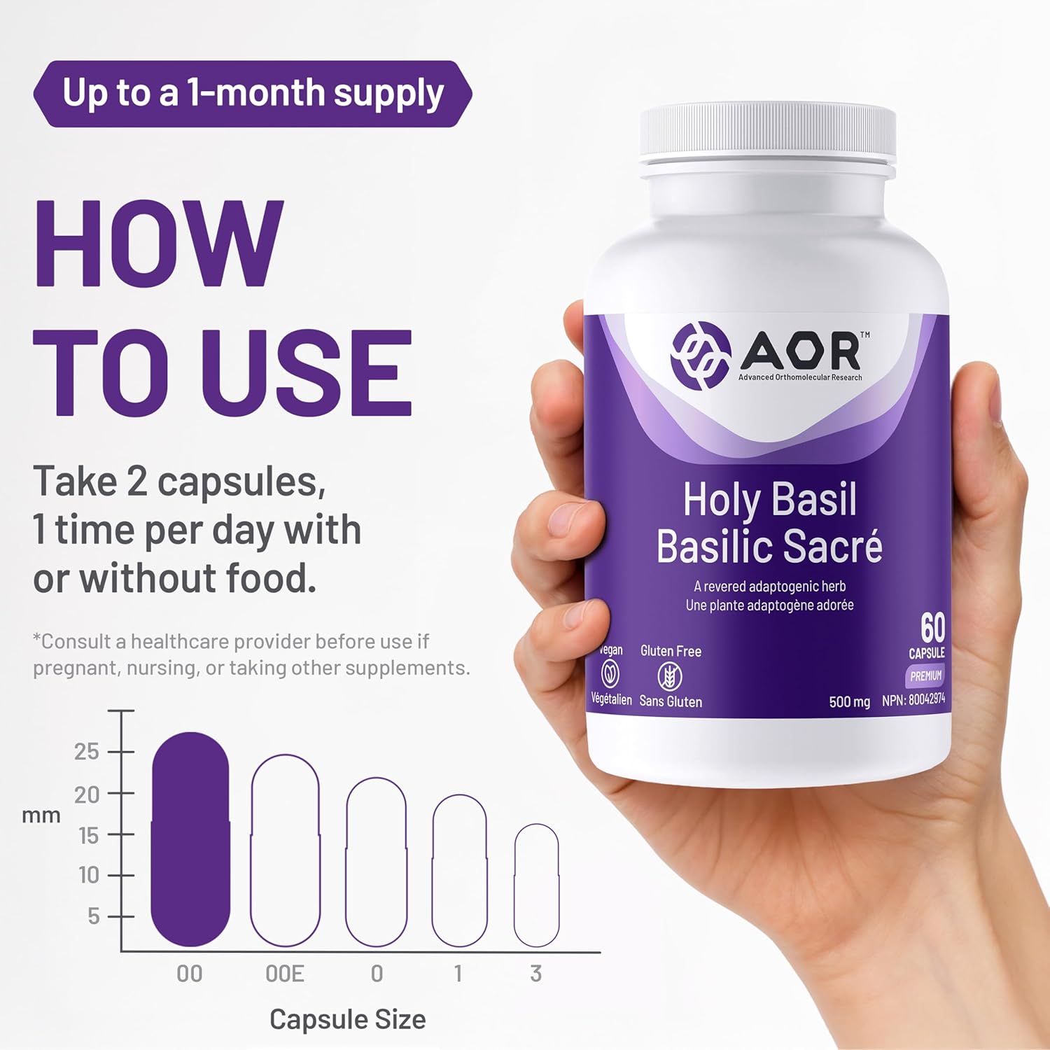 AOR Holy Basil supplement bottle held in a hand with usage instructions on a white background