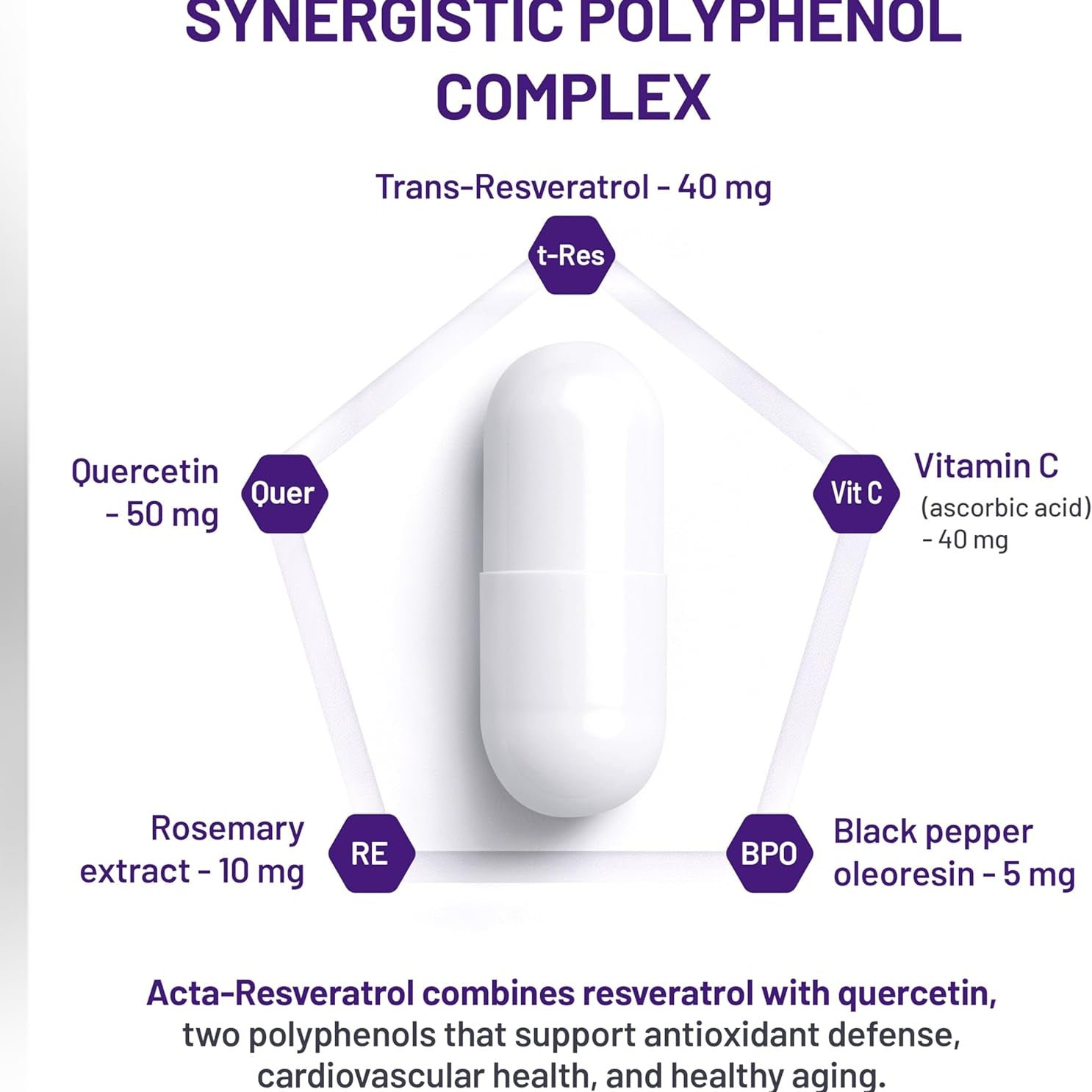 Diagram of a Synergistic Polyphenol Complex with ingredients and their quantities on a white background.