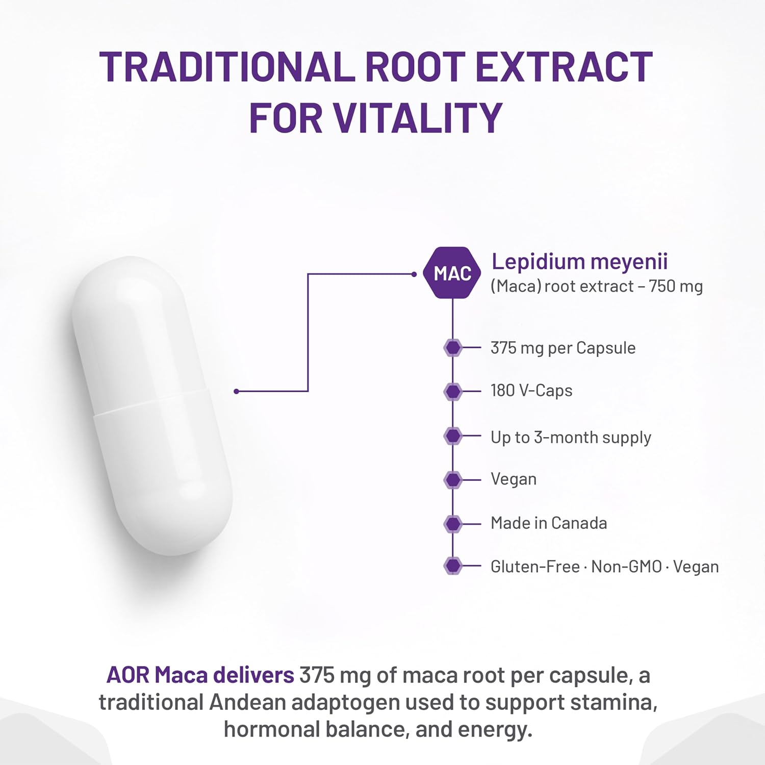 Maca root extract capsule with product details on a white background