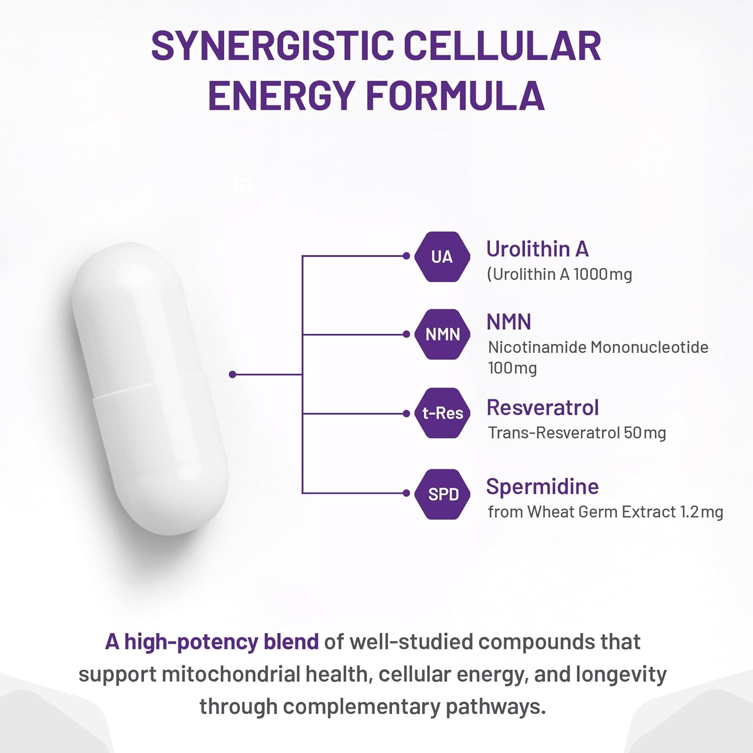 Synergistic cellular energy formula with ingredients and their quantities on a white background