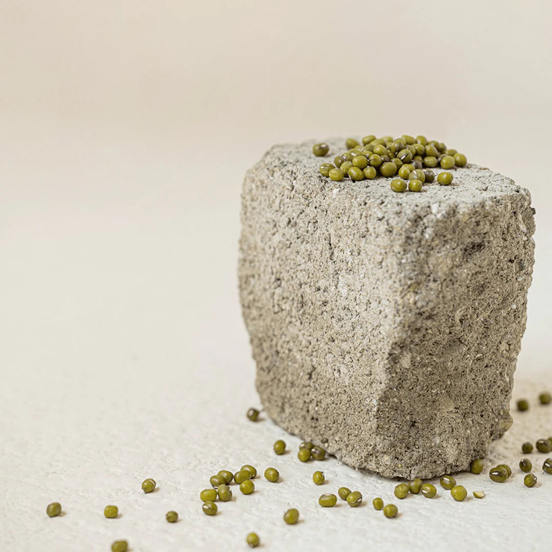 Square concrete block with green seeds on a light background