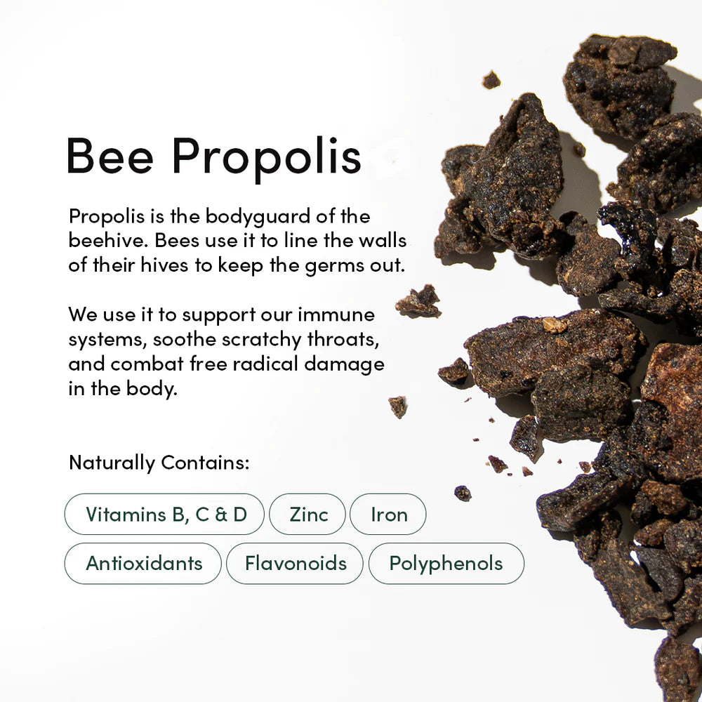 Bee propolis with text about its uses and benefits on a white background
