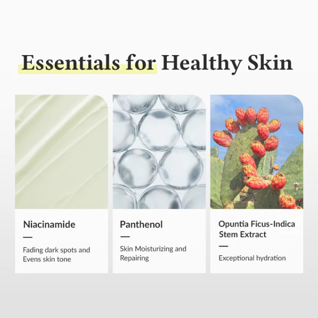 Product display with images and text on 'Essentials for Healthy Skin' including Niacinamide, Panthenol, and Opuntia Ficus-Indica Stem Extract.
