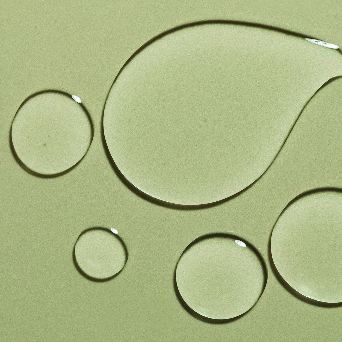 Close-up of water droplets on a green surface