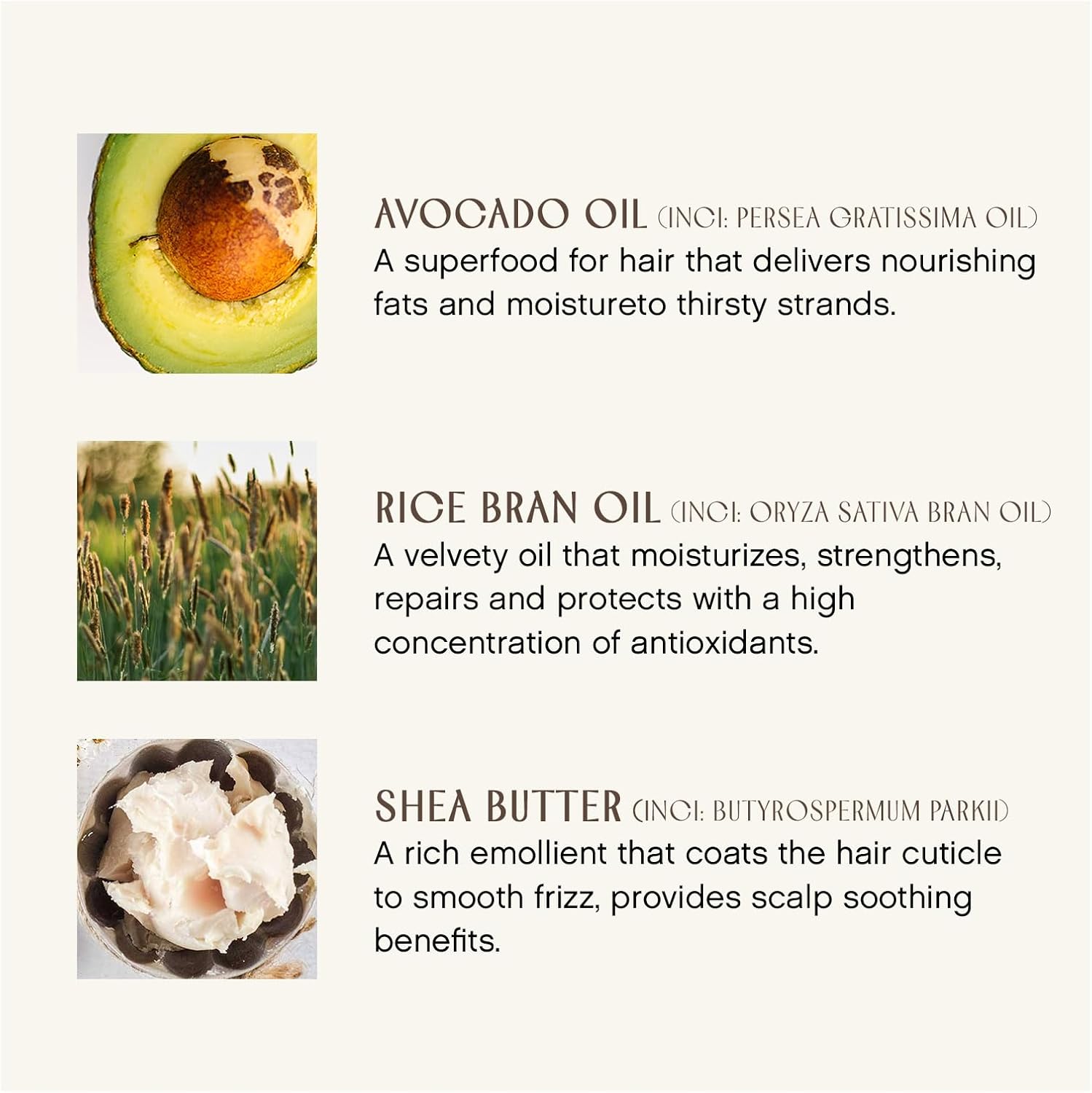 Text description of avocado oil, rice bran oil, and shea butter with corresponding images on a white background.