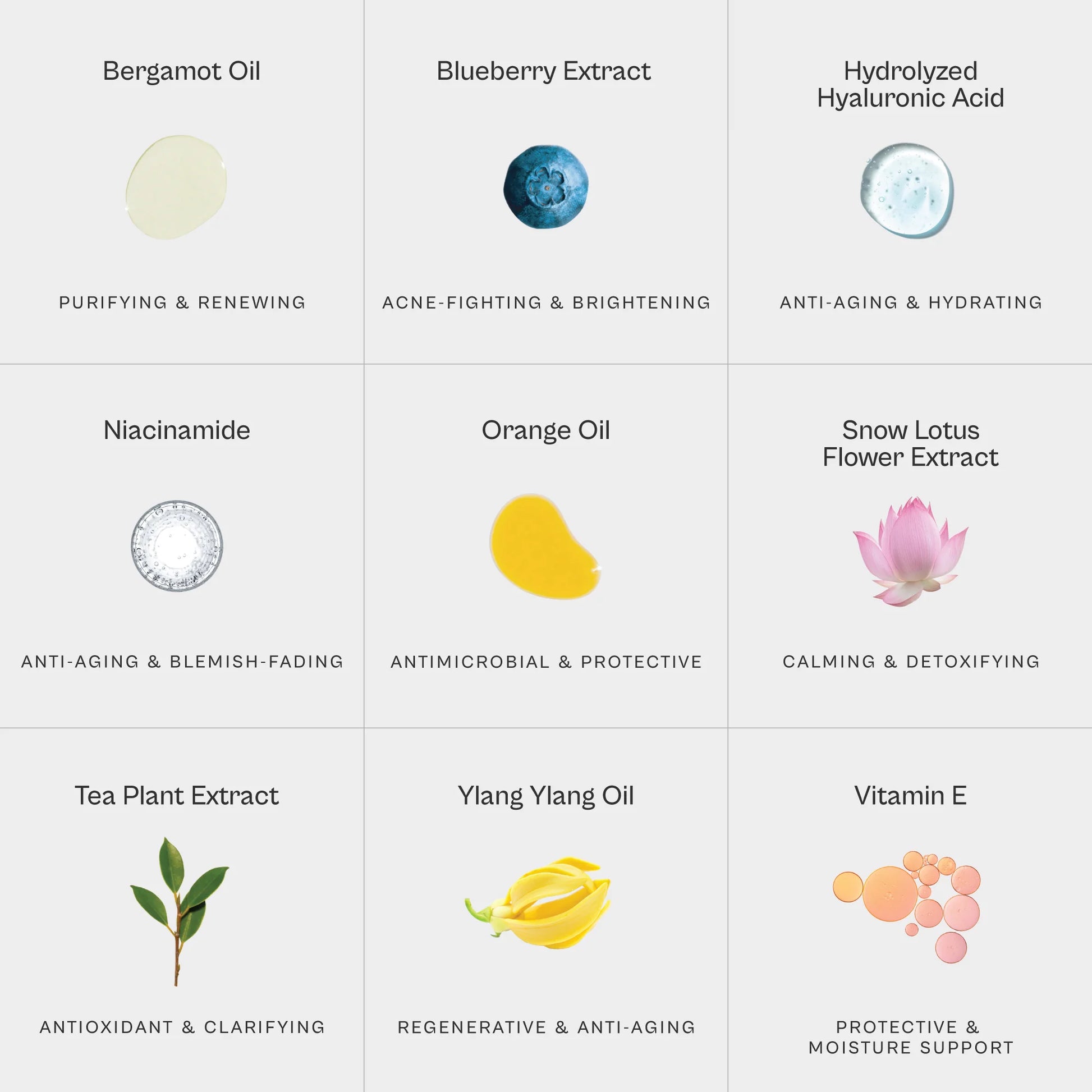 Grid of skincare ingredients with icons and descriptions