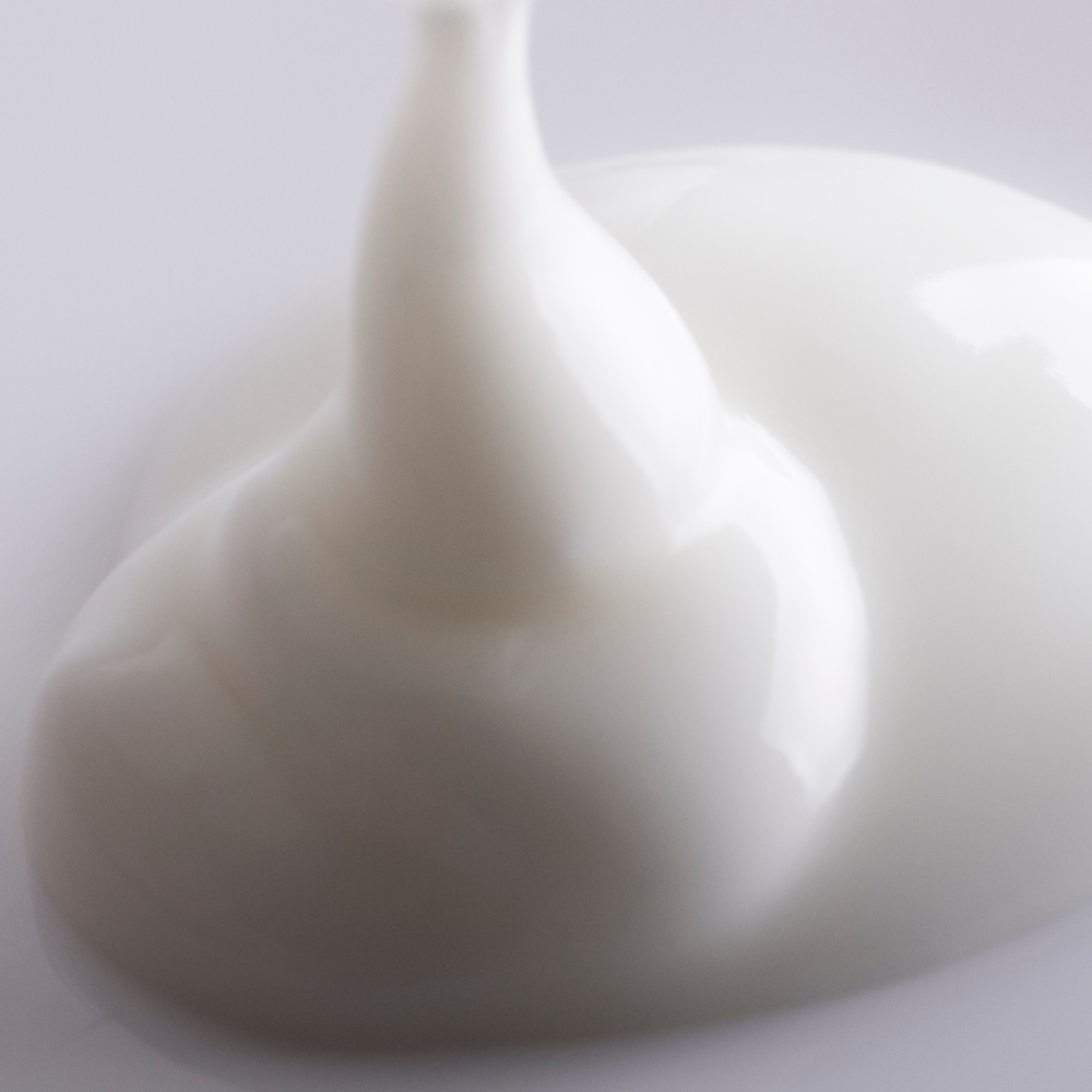 Close-up of a white ceramic vase on a light gray background